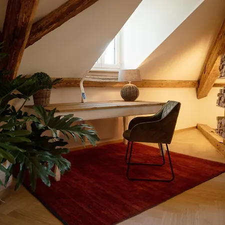 Moderne Altbauwohnung Mit Pool Und Sauna Zentral In