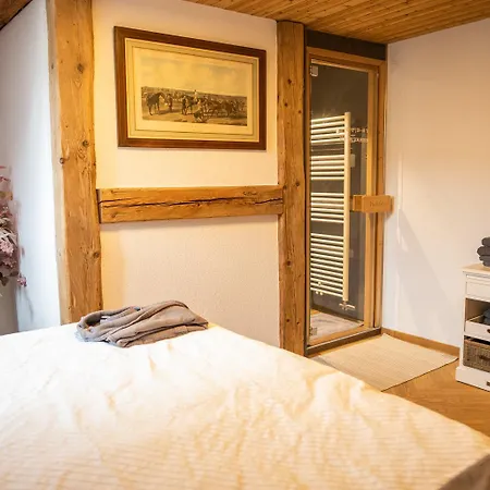 Moderne Altbauwohnung Mit Pool Und Sauna Zentral In * Bern