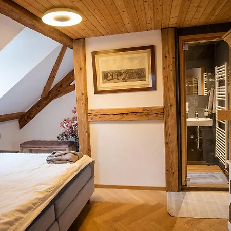 Apartment Moderne Altbauwohnung Mit Pool Und Sauna Zentral In