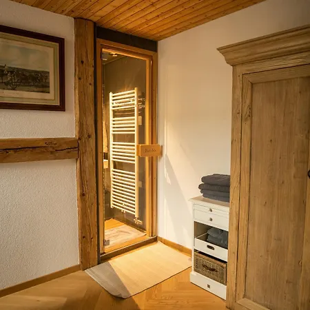 Apartment Moderne Altbauwohnung Mit Pool Und Sauna Zentral In Bern
