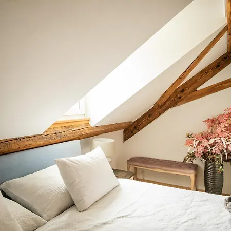 Moderne Altbauwohnung Mit Pool Und Sauna Zentral In Bern