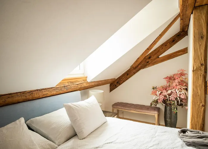 Moderne Altbauwohnung Im Zentrum Von Mit Wellness برن